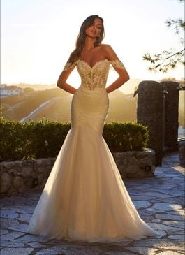 Missing image for Wedding dress Rowena 4467