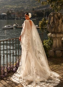 Missing image for Wedding cape Iris