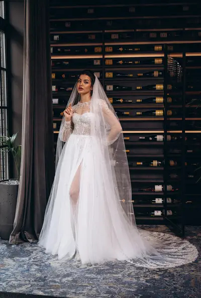 Missing image for Wedding dress Silver
