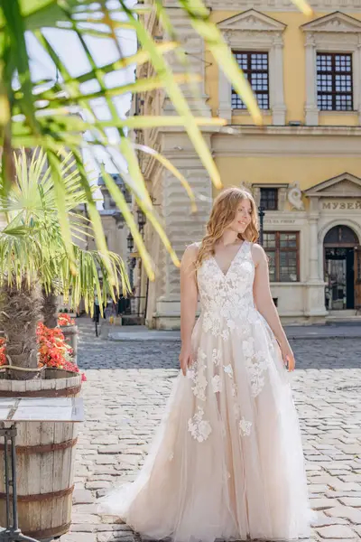 Missing image for Wedding dress Tara