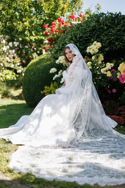 Missing image for Wedding veil 8091