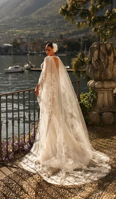 Missing image for Wedding cape Iris