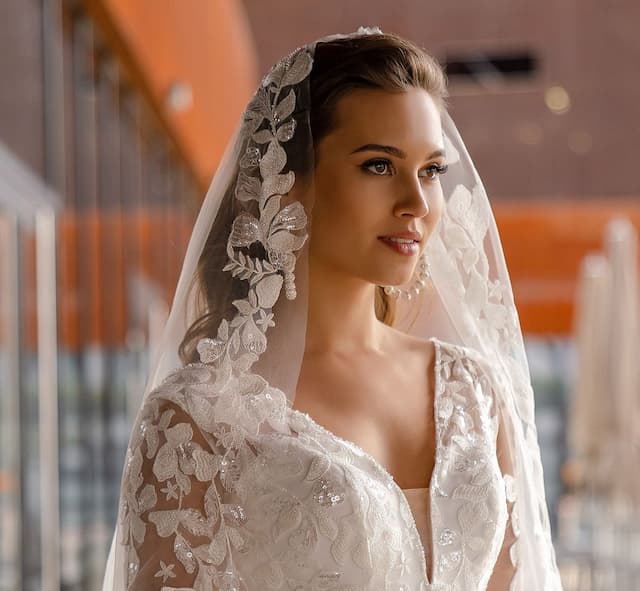 Bridal Veil Wedding Dresses